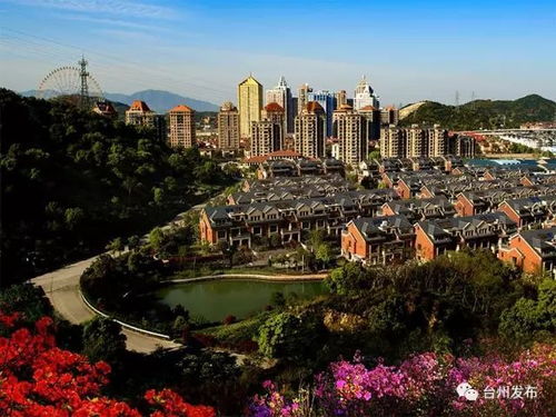 创建全国文明城市 全民共建 温暖台州城