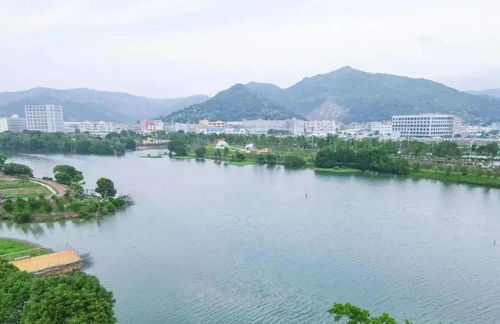 优秀 台州再捧这项大奖