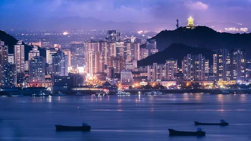 五问入企 五心服务 台州港航走进船东协会，深化政企联动